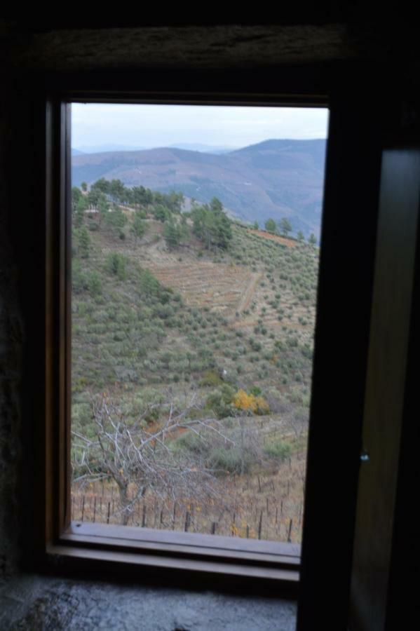 Вилла Casa Da Vinha Em Tabuaco - Douro Экстерьер фото